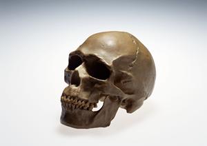 カウンセリング重視の歯医者さん