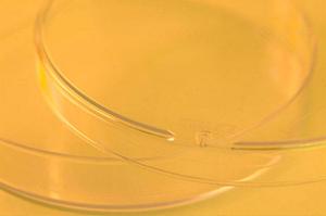 【2026年最新】心斎橋の歯医者を徹底比較！選び方と評判がわかる最強ガイド