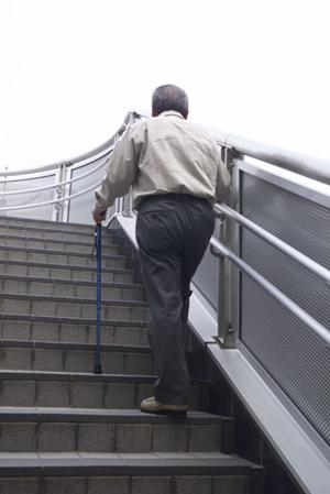 奈良市で選ばれる歯医者トップガイド：最新2026年版選び方とおすすめポイント